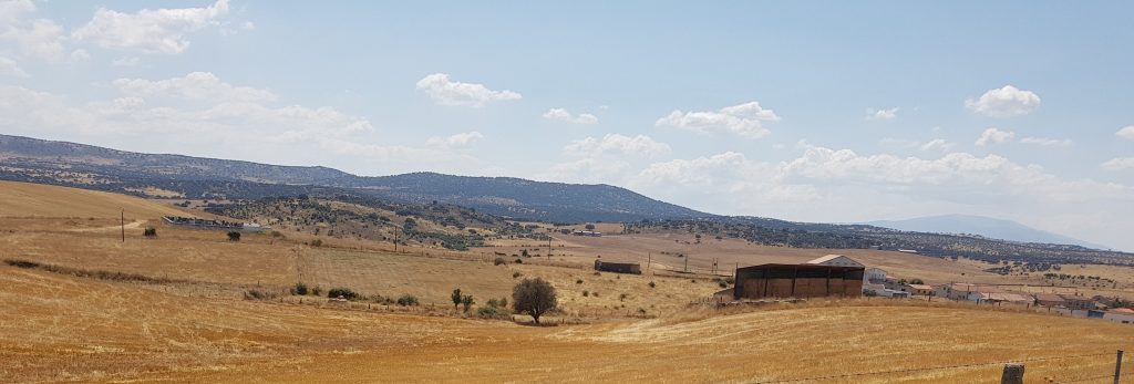 Pacas frente a La Tala