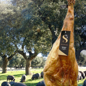 PATA NEGRA. Jamón de Bellota 100% Ibérico Sierra de Codex