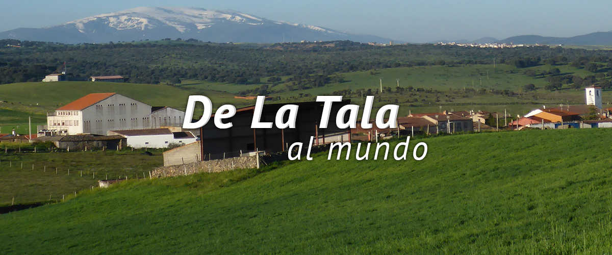 SDC-Fotos presentacion-Tala Mundo