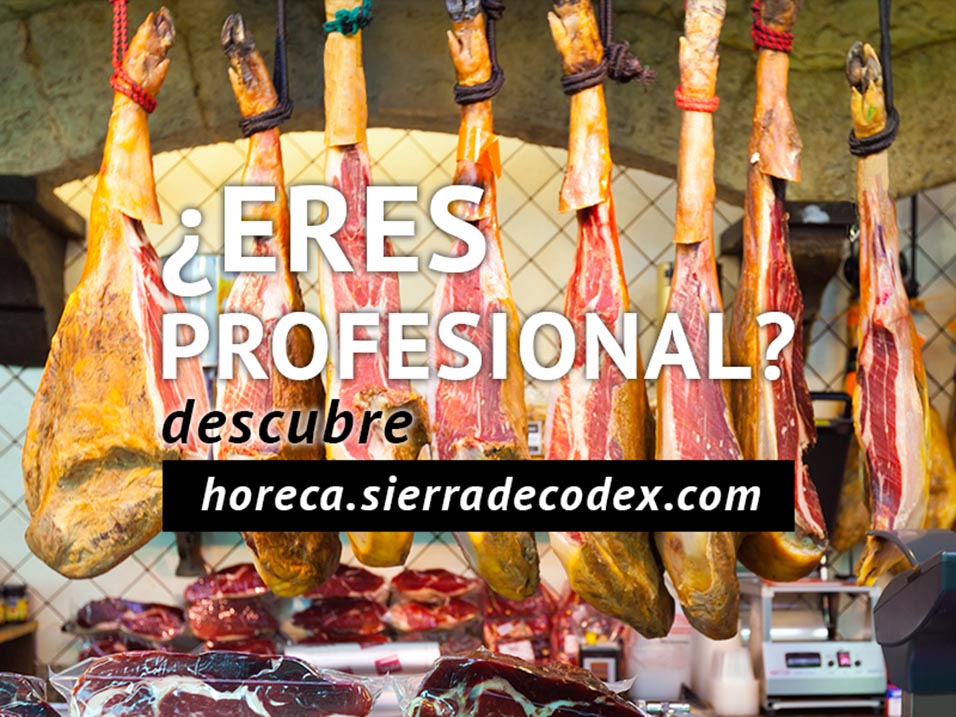 SDC-Horeca-Distribucion-WEB