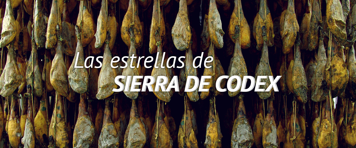 SDC-Fotos presentacion-Estrellas de Sierra de Codex-1